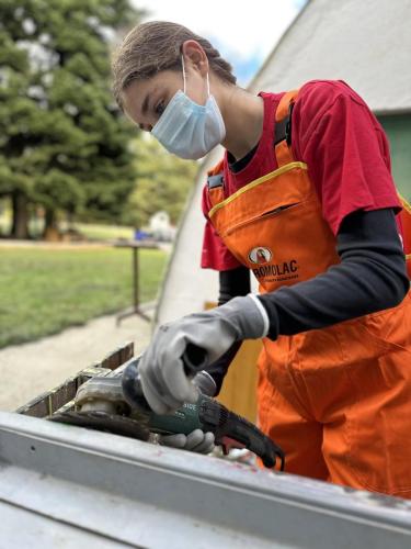 εικόνα Viber 2025-10-20 22-38-57-939